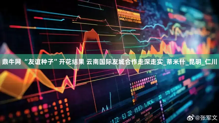 鼎牛网 “友谊种子”开花结果 云南国际友城合作走深走实_蒂米什_昆明_仁川