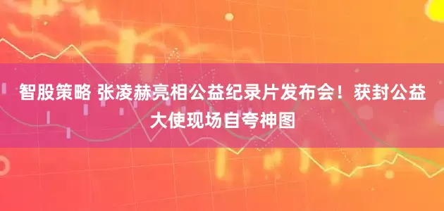 智股策略 张凌赫亮相公益纪录片发布会！获封公益大使现场自夸神图